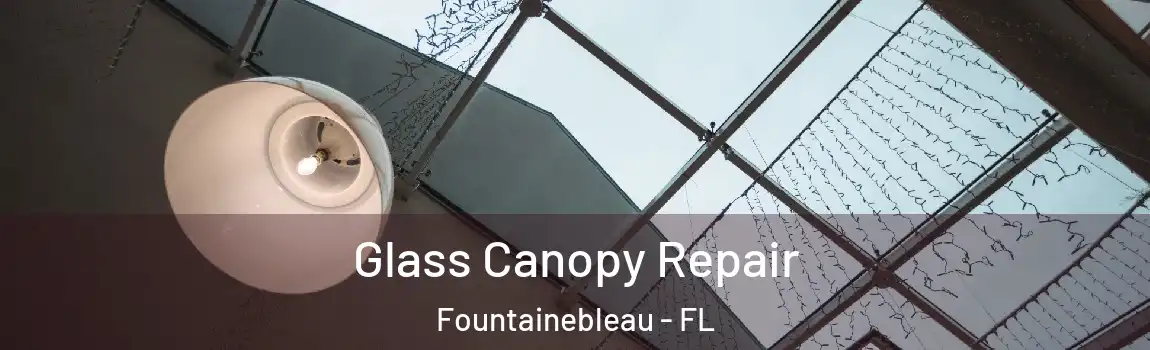  Glass Canopy Repair Fountainebleau - FL
