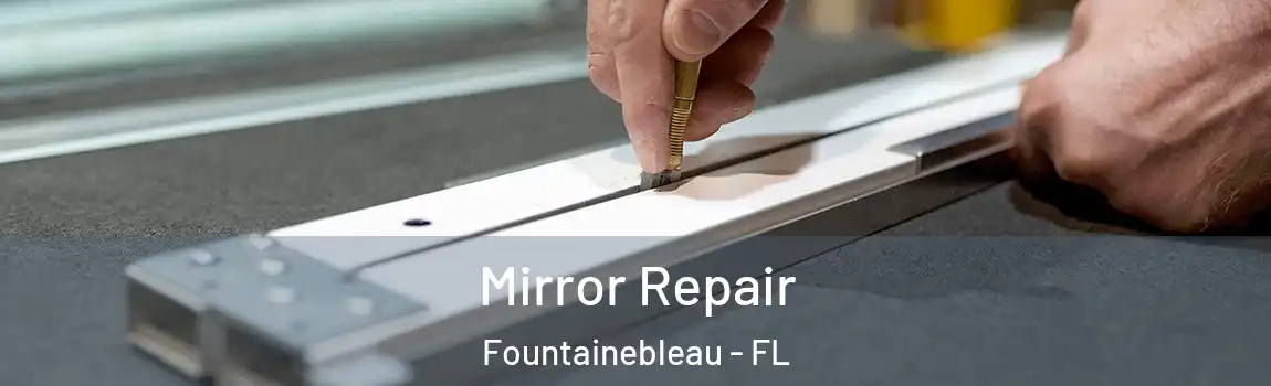  Mirror Repair Fountainebleau - FL